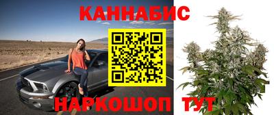 прущие грибы Кимры
