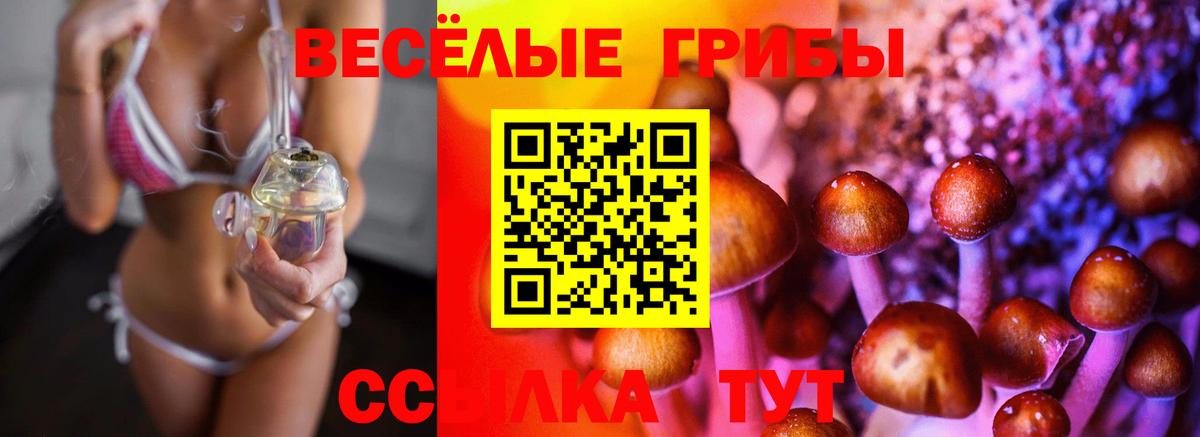 Нижнекамск  Галлюциногенные грибы мухоморы  Вход с VPN 